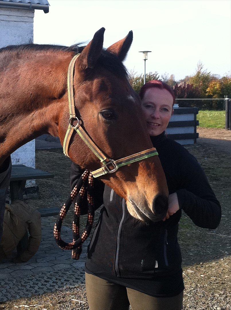 Tysk Varmblod Big Boy (BB) R.I.P.  22/8 2012 billede 16