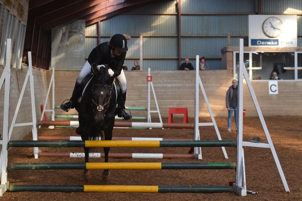 New Forest Banda - Min skønne springpony!:*
OHR's juniormesterskab d. 23/10-2011 LC  billede 17