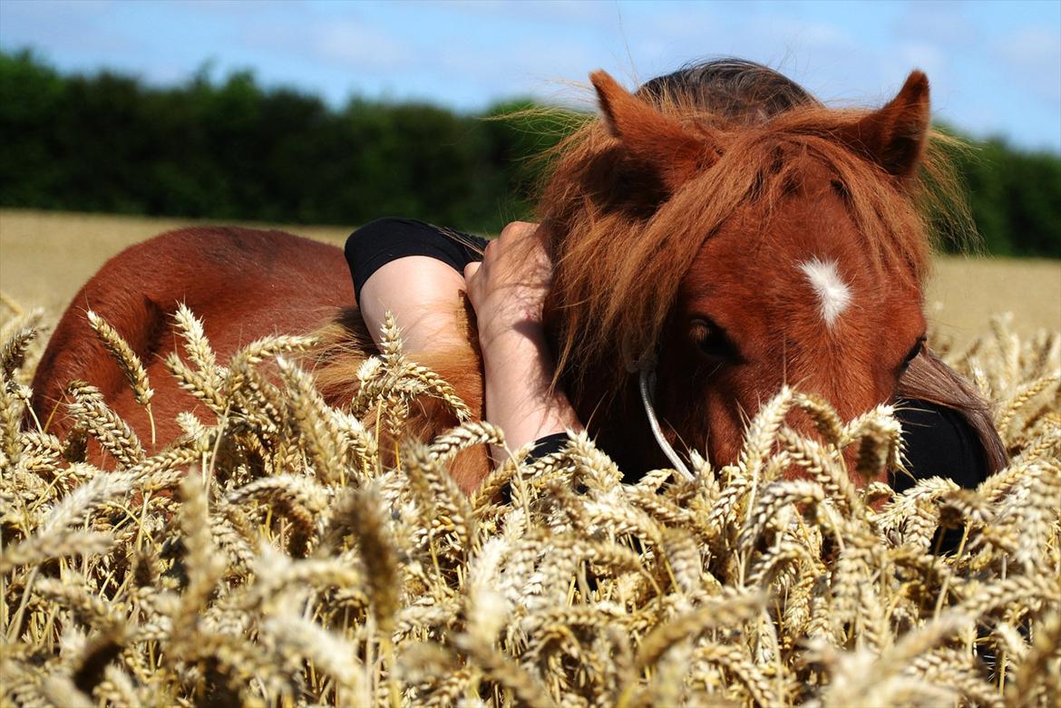 Anden særlig race Prins. :-) - Hope is a universal language.♥
Taget af Maria.
Sommeren 2011 billede 16