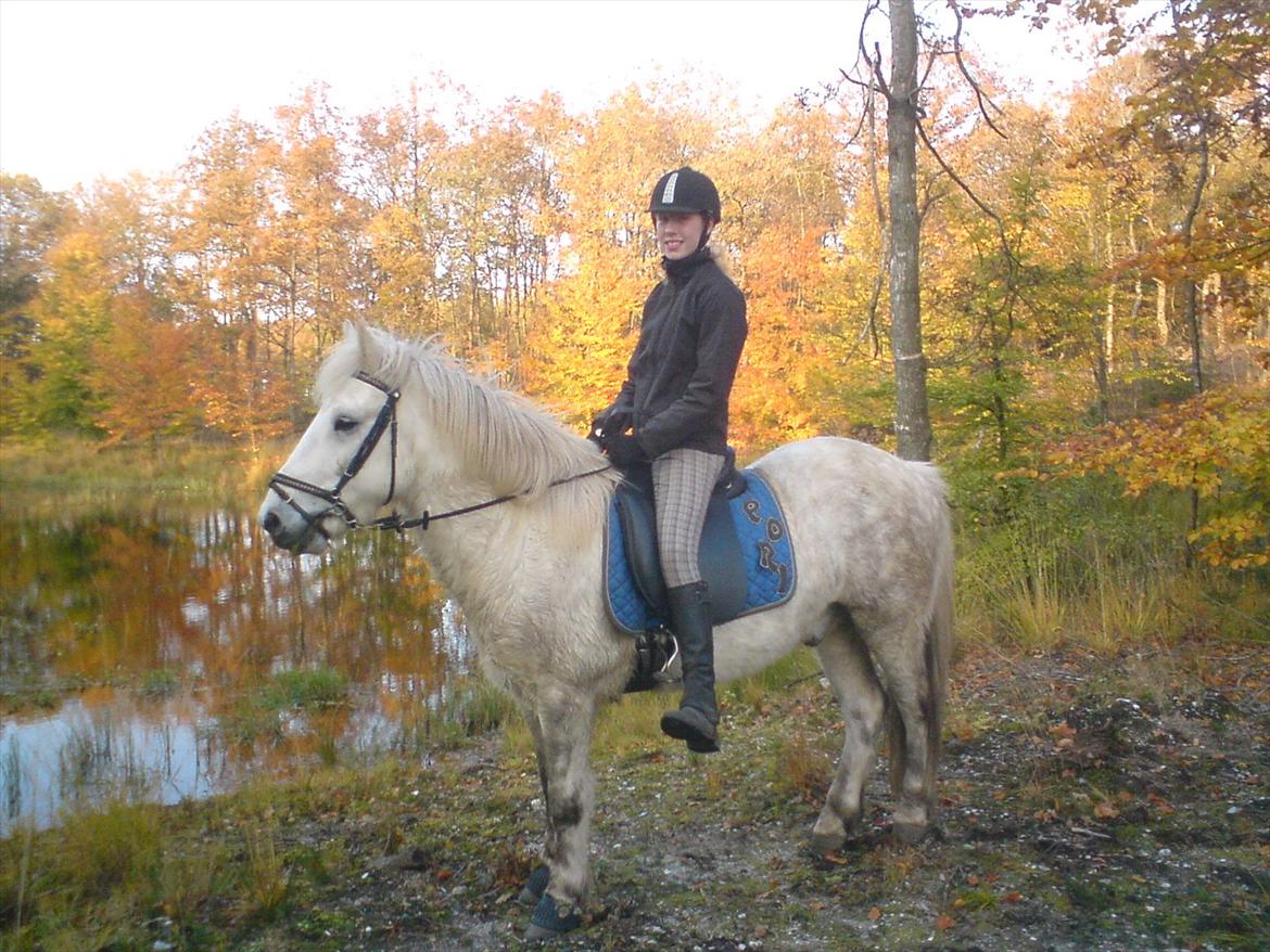 Islænder Pori klattrup - De fleste smil er startet med et andet smil.
Dejlige hyp:* 2011<3 billede 13