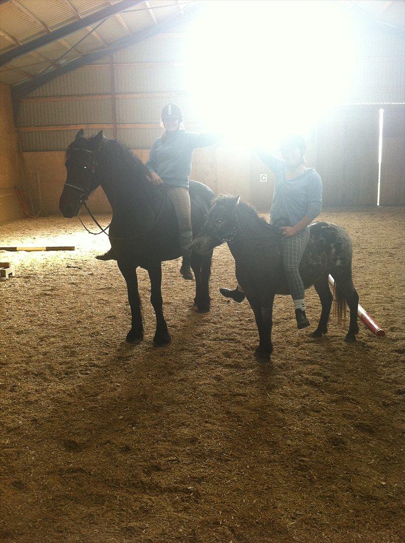 Frieser Anneke - Mig på Anneke, og Gabriella og Jolly! :-) billede 2