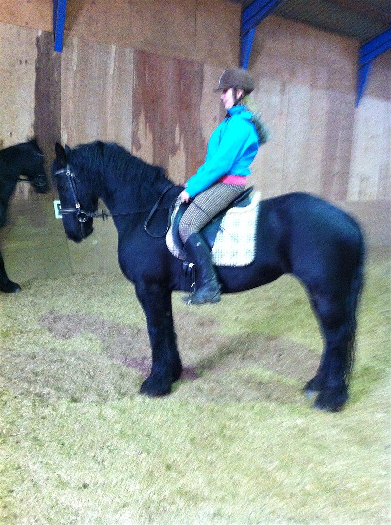 Frieser Anneke - tæhæ, jeg syntes hun er flot! :-) billede 4