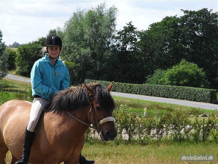 Anden særlig race Muldeberg - Tur for to år siden. Savner nu den tid.. billede 20
