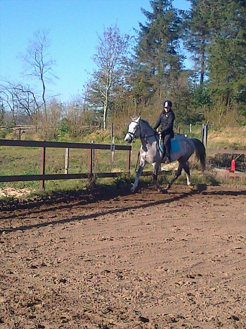 Anden særlig race El. Diego *R.I.P<3 †* - *2- Første gang med Diego<3 billede 2