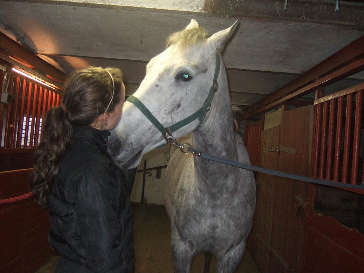 Anden særlig race El. Diego *R.I.P<3 †* - *8- Bøffen der kysser mig<3 billede 8