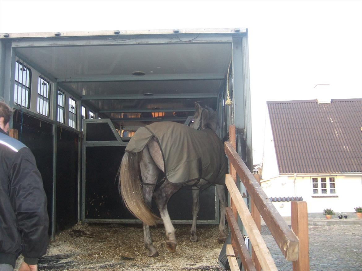 Anden særlig race El. Diego *R.I.P<3 †* - *3- Diego kommer til Biersted<3 billede 3