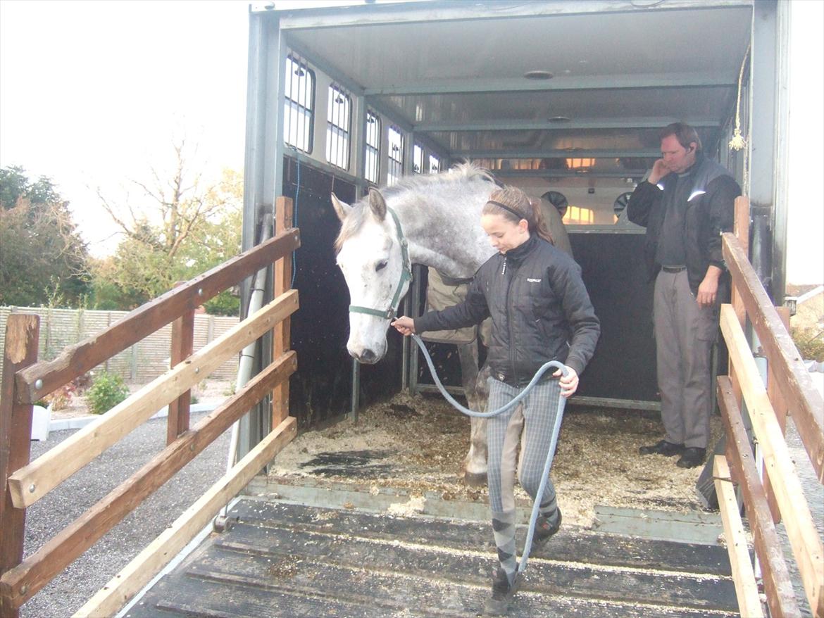 Anden særlig race El. Diego *R.I.P<3 †* - *4- Jeg trak ham selv ned af lastbilen<3 billede 4