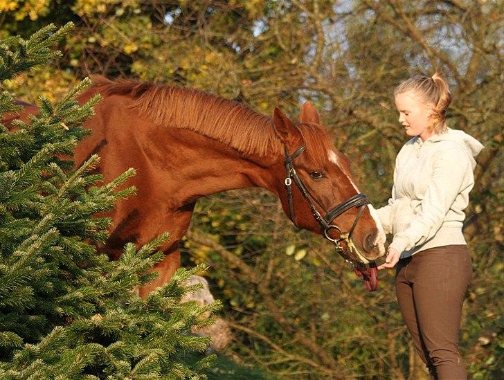 Anden særlig race Sunny Boy  - Foto: Jani Pedersen
Last night I matched each star with a reason for loving you. I was doing great until I ran out of stars <3 billede 10
