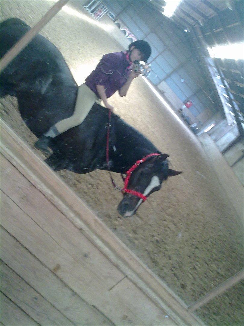 New Forest - Quark»||My Soulmate<3|| billede 19