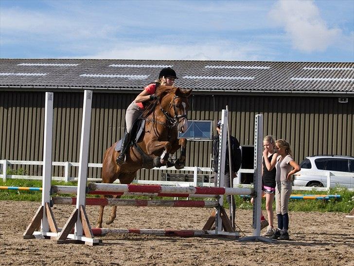 Anden særlig race Ferrari - 17, første gang med pelham biddet :-) foto ~ Rune. billede 17