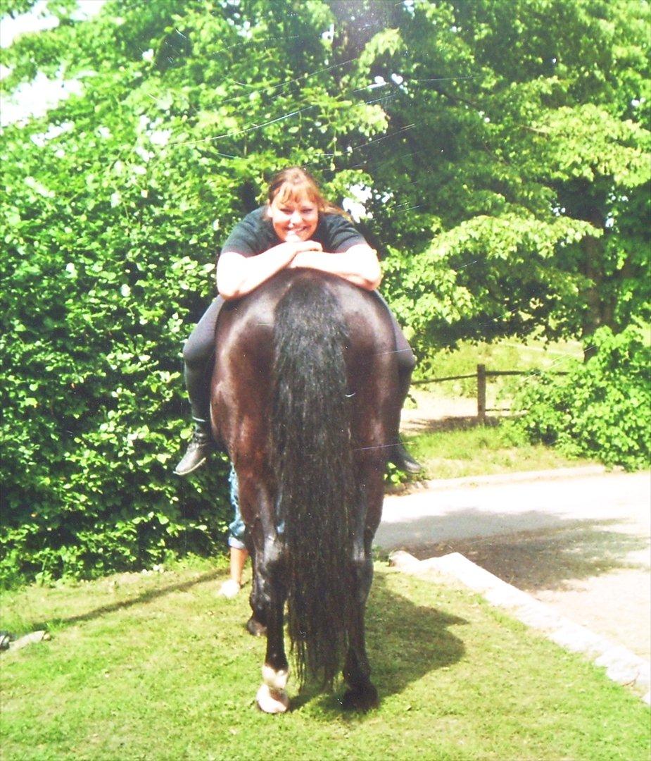 Oldenborg Limbo-Rock - Når enden er god... ;-) billede 5