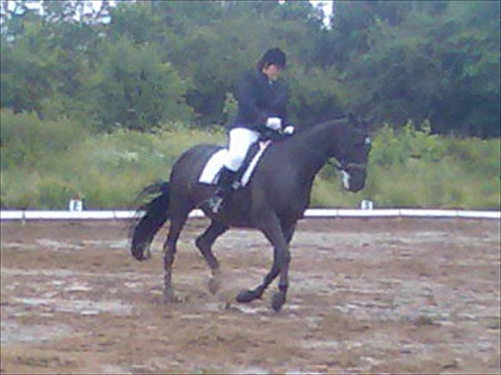 Oldenborg Limbo-Rock - LA4 2007 billede 6