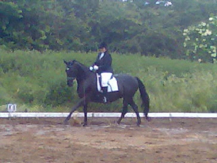 Oldenborg Limbo-Rock - LA4 2007 billede 7