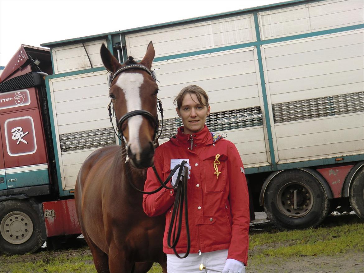 Fuldblod (XX) Competence (DEN) billede 2