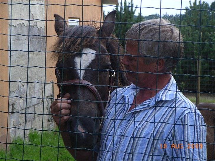 New Forest Lundtoft bendii billede 15