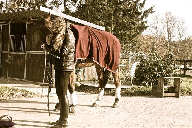 Holstener Caruzo billede 7