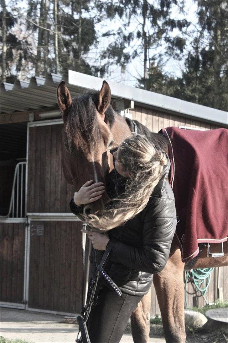 Holstener Caruzo billede 1