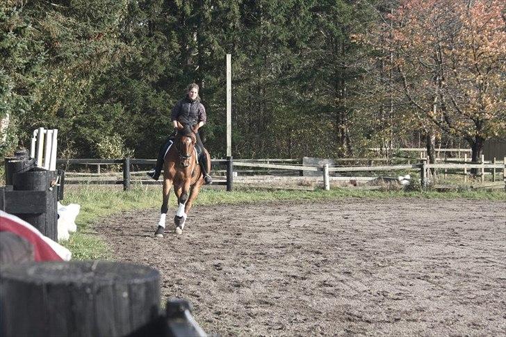 Holstener Caruzo billede 14