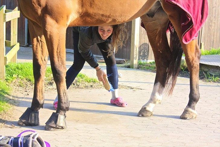 Holstener Caruzo billede 16