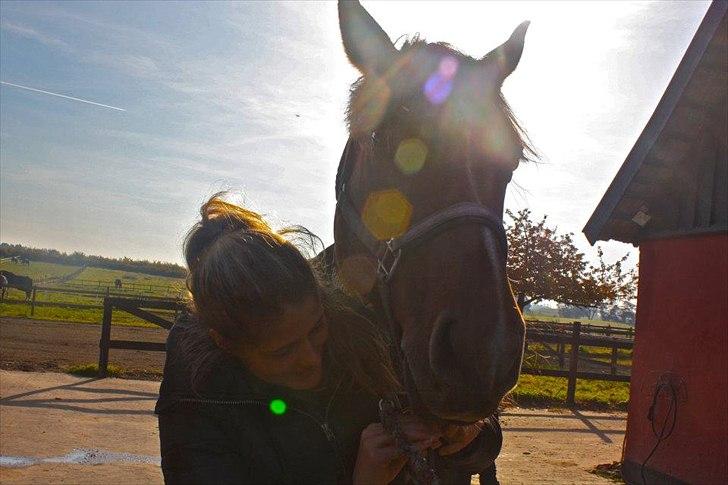 Holstener Caruzo billede 18