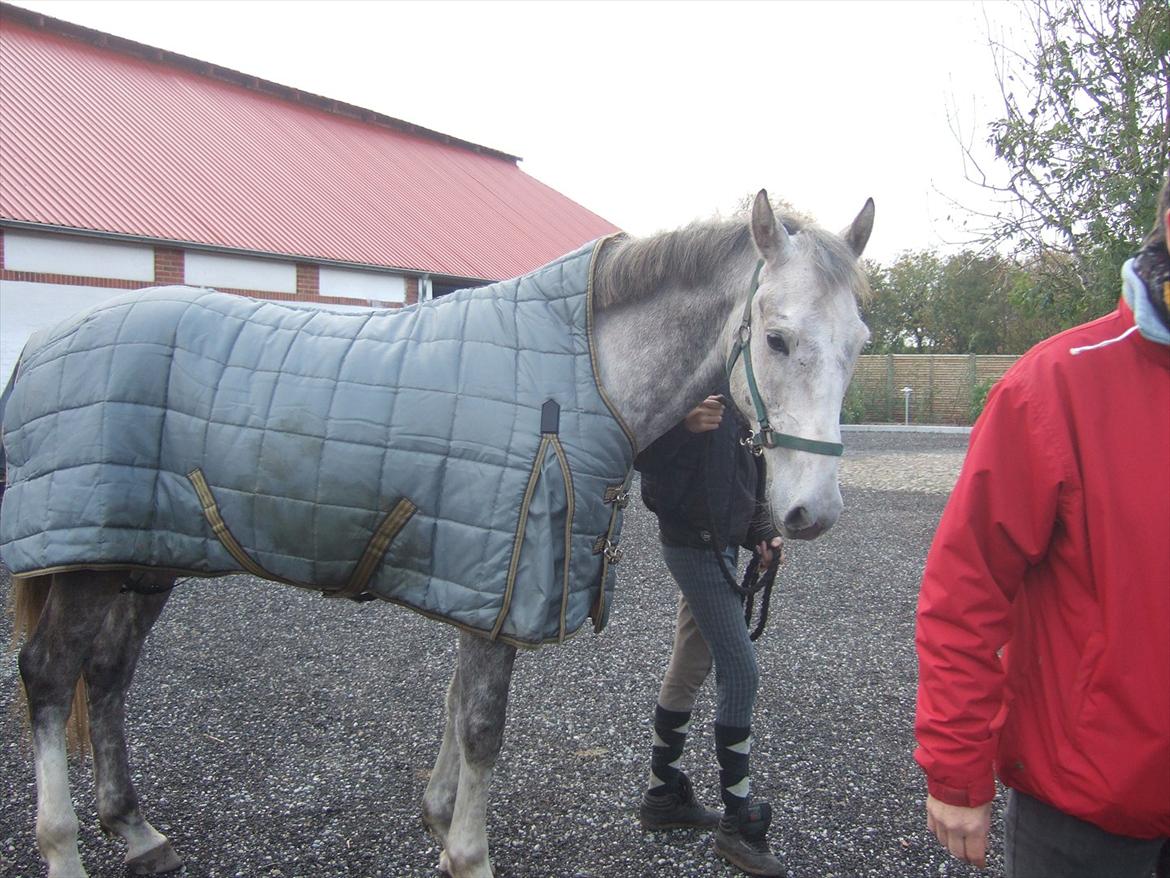 Anden særlig race El. Diego *R.I.P<3 †* - *10- Ude i gårdspladsen<3 billede 10