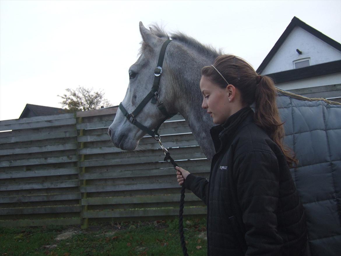 Anden særlig race El. Diego *R.I.P<3 †* - *11- på vej op til dyrelægen<3 billede 11