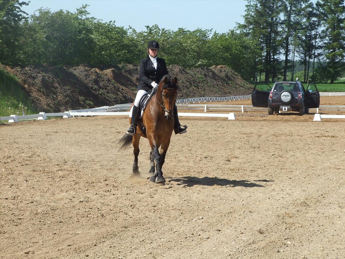 Anden særlig race Patrick  - Fine patty, fræk som altid ;o) billede 15