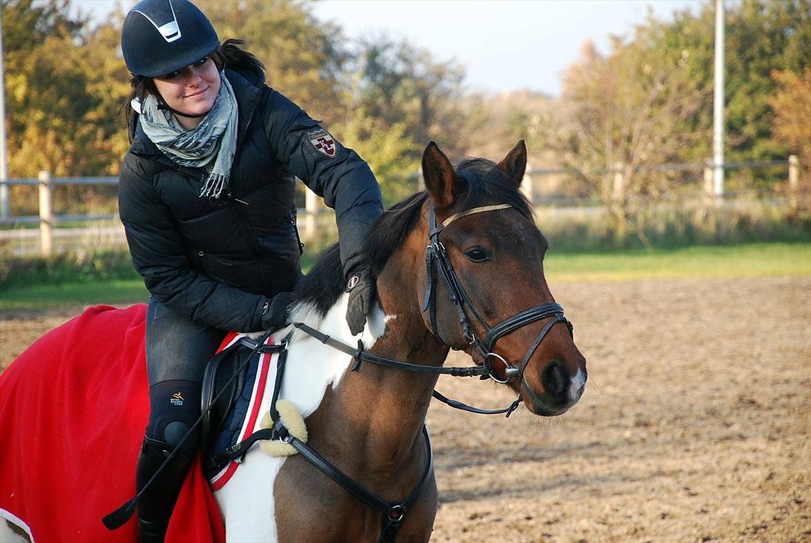 Pinto Munkeborgs Cloudy B-pony - 4 år med dig <3 JEG ELSKER DIG! billede 4