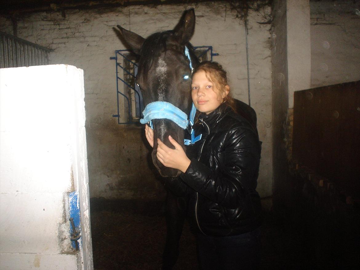 Dansk Varmblod Chanel - The neller mus <3 billede 17