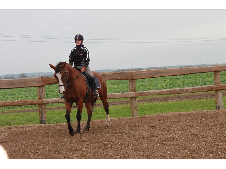 {{currentPhoto.altText}} billede {{currentPhoto.number}}