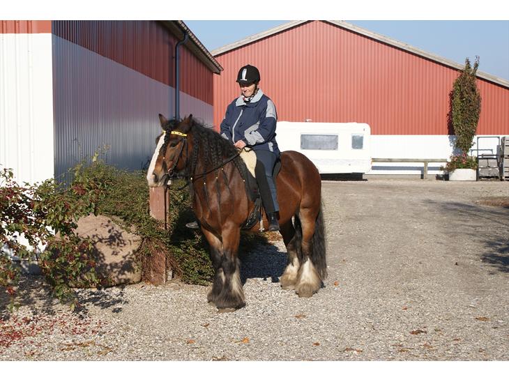 {{currentPhoto.altText}} billede {{currentPhoto.number}}