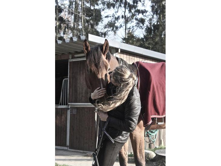 {{currentPhoto.altText}} billede {{currentPhoto.number}}