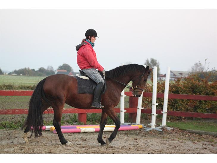 {{currentPhoto.altText}} billede {{currentPhoto.number}}