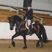 Frieser Tina Moeskaer