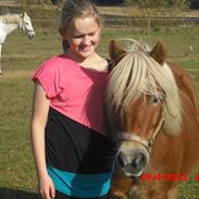 Anden særlig race Lukas 