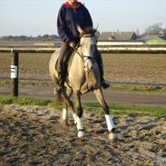 Anden særlig race To-Scor-Surprice (Min part)