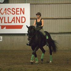 Tysk Varmblod Rubens