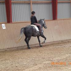 DSP Leonardo Søblink