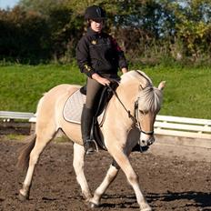 Fjordhest Pepsi Pony - lPeps <3l