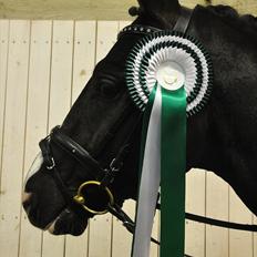 DSP Pomeroll SPH 189