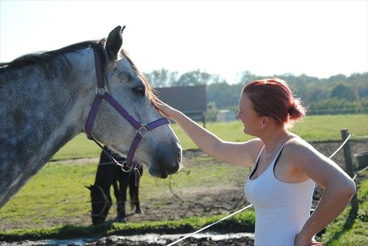 Anden særlig race Anastacia (Solgt) billede 10