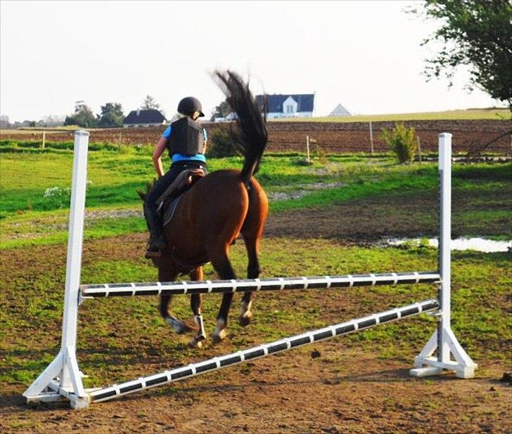 Anden særlig race Stormarksgaards Speedy - ... :D billede 4