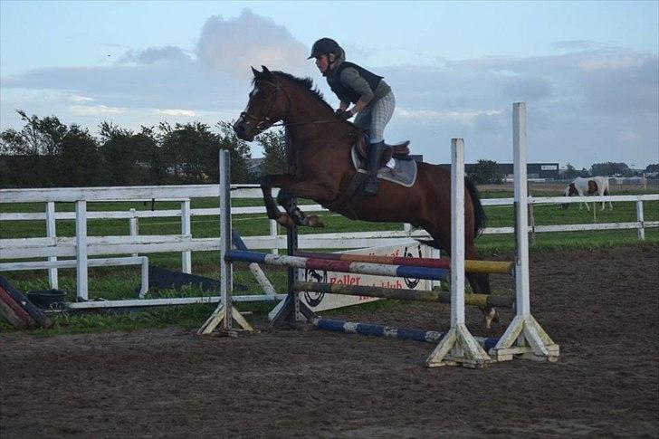 Anden særlig race Stormarksgaards Speedy - Mig og Speedy, spring træning 2011 (: billede 6