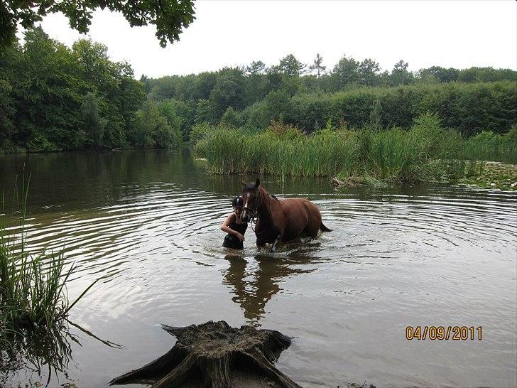 Anden særlig race Stormarksgaards Speedy - Mig og Speedy, er i skoven og bade!:D billede 7