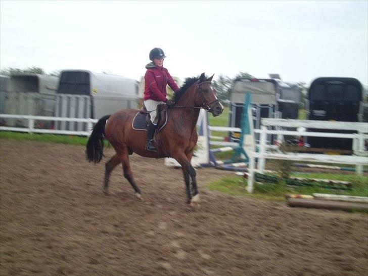 Anden særlig race Stormarksgaards Speedy - Mig og speedy, spring undervisning!:) billede 9