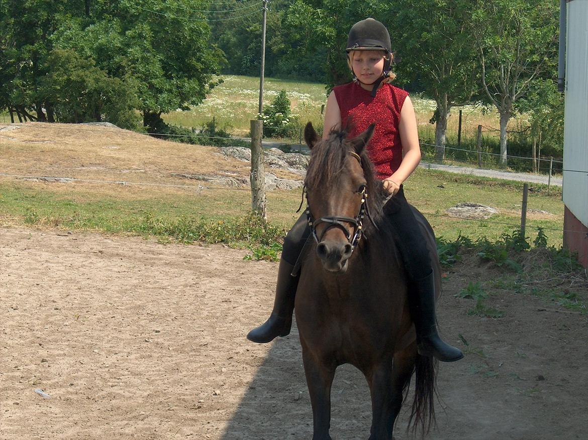 Anden særlig race Sisse billede 4