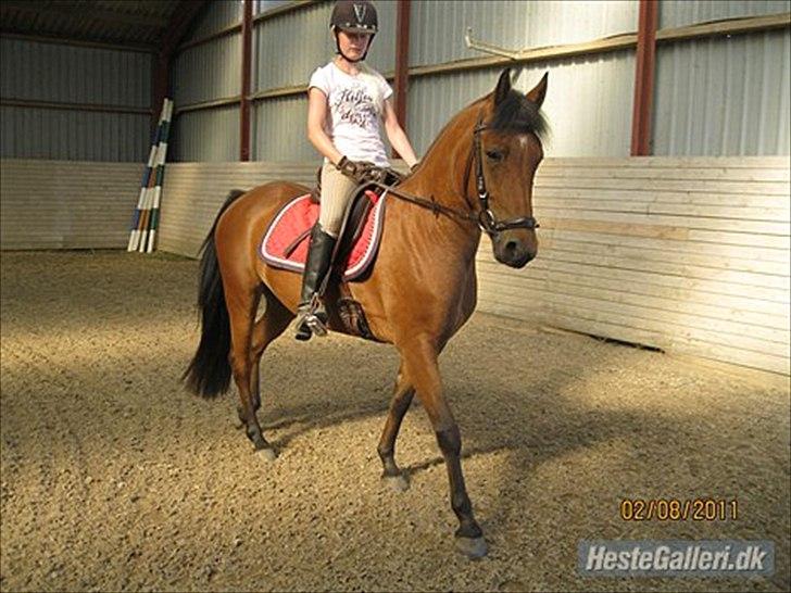 Anden særlig race kashede´s precious jewel!!<3   - Det er vigtigere at have ret, end at få ret.. billede 5
