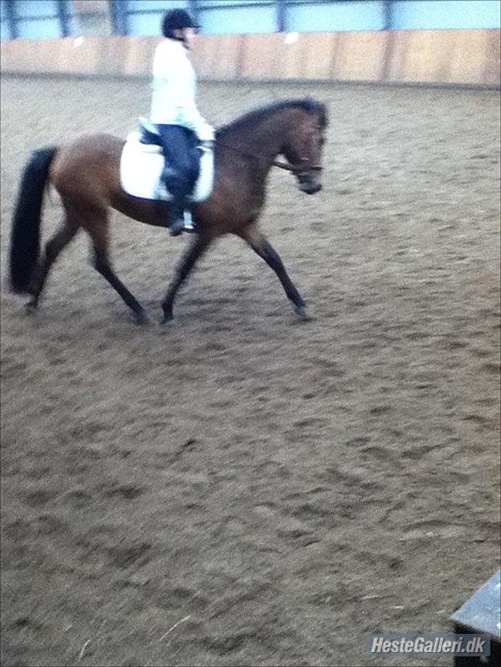 Anden særlig race kashede´s precious jewel!!<3   - Hvis du oplever et nederlag, så se det som et tegn på, at din plan skal ændres. Lav om på den og sæt et nyt sejl, på vejen mod dit mål.
 billede 7