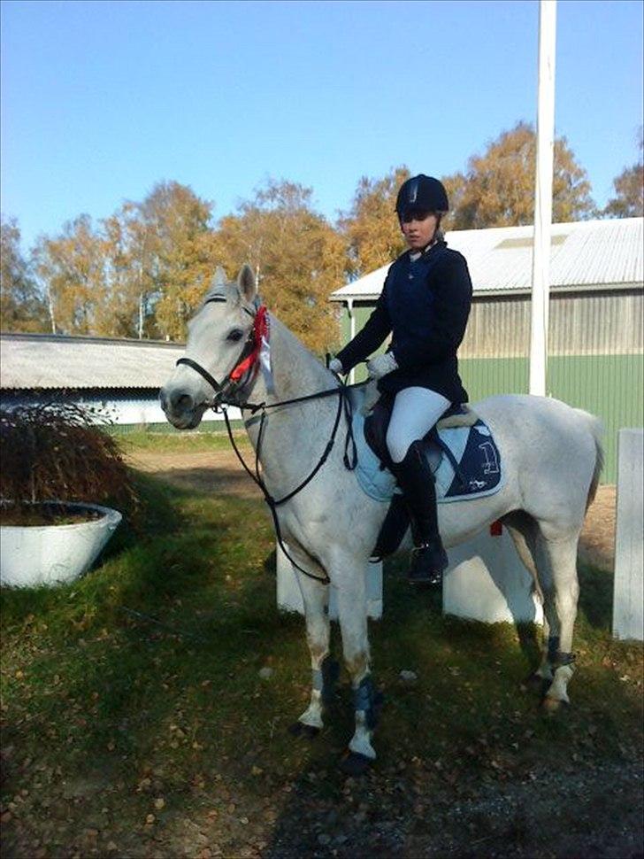 Anden særlig race Stald Hesselholt's Victor - solgt! - Mig og Victor vandt LB-LA :D!! <3 billede 19