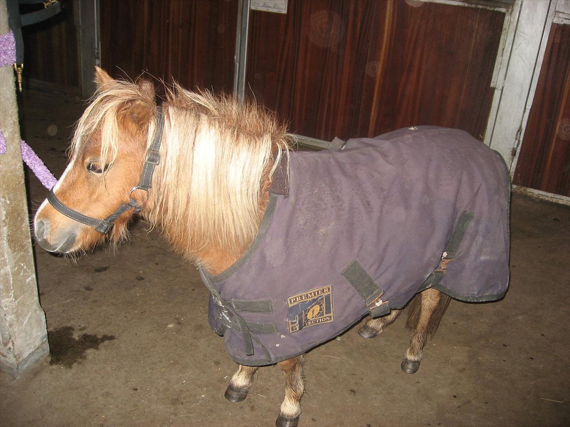 Miniature Putte R.I.P. billede 2